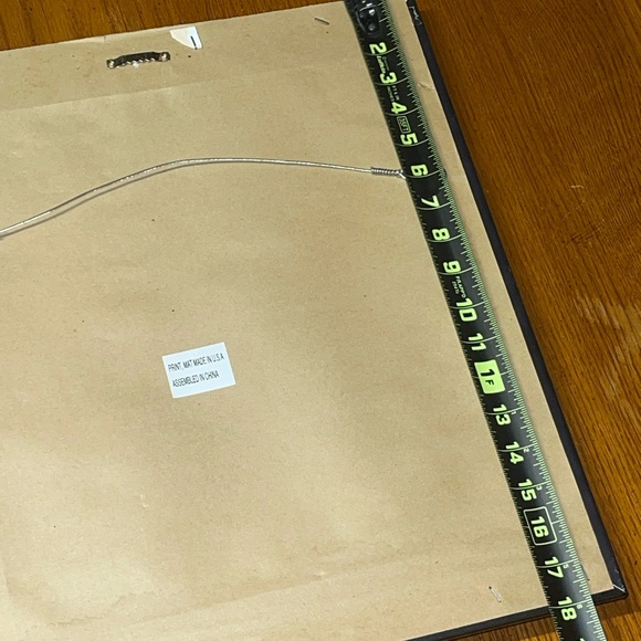 Parrot Artwork - Picture 7 of 8